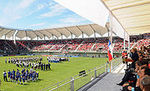 Nelson Oyarzn Arenas