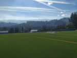 Campo Municipal de So Martinho da Gandra