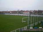 Bsk Borca