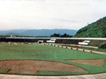 Antnio Fernandes