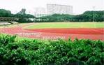 Toa Payoh Stadium