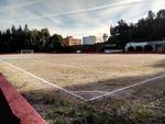Parque De Jogos Francisco Vieira