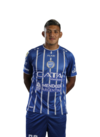 Bruno Leyes