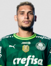 Rafael Navarro