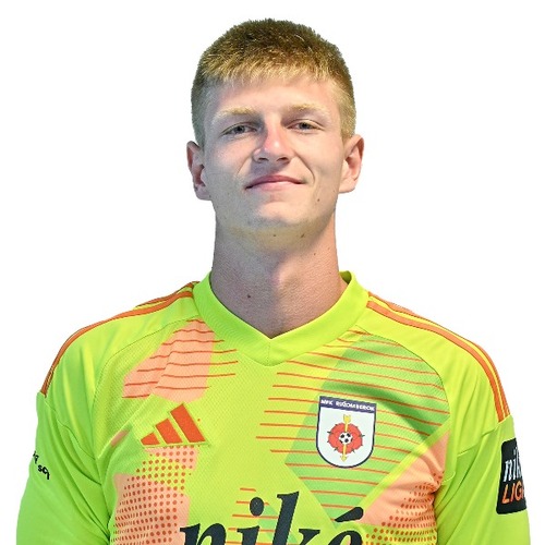 Dominik Tapaj