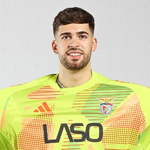 Bernardo Mendes