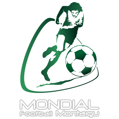 Torneio de Montaigu 2008