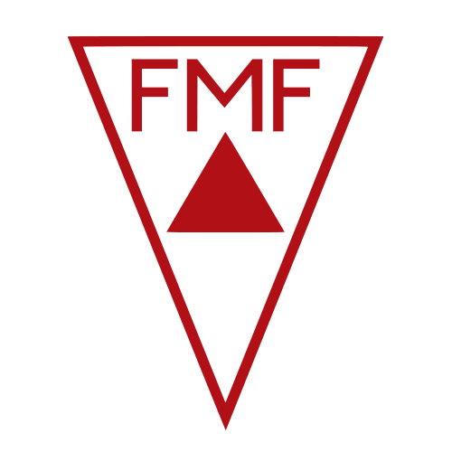 Campeonato Mineiro 2025