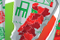 Logo: Europeu Feminino