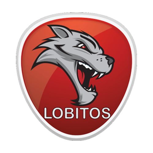 Lobitos Futsal