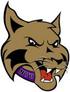 New York University