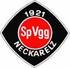SpVgg Neckarelz